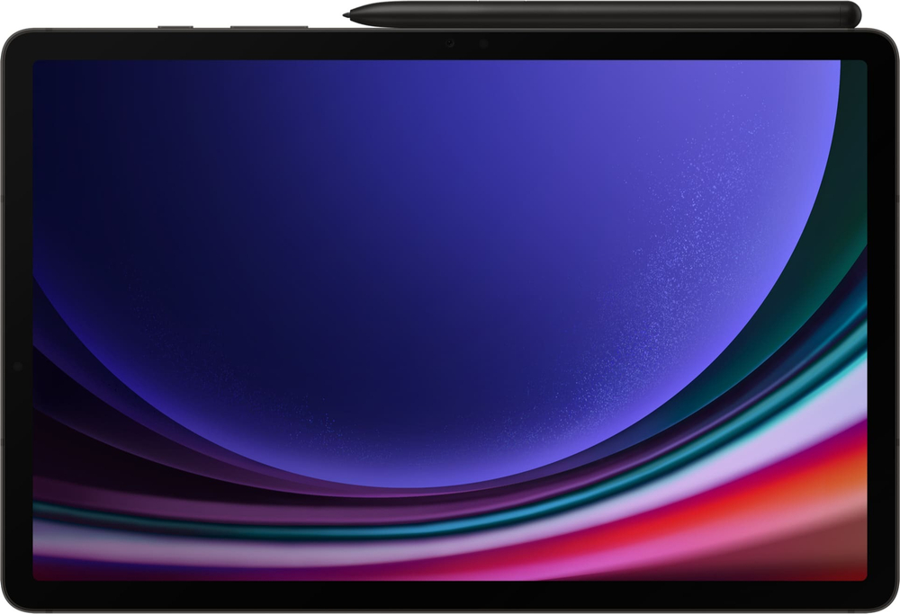 Планшет Samsung Galaxy Tab S9 Wi-Fi 256 ГБ Graphite (Графитовый)