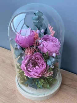 натуральные пионы в стекле