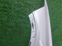 Крыло переднее левое BMW Х7 G07 (2019-н.в.)