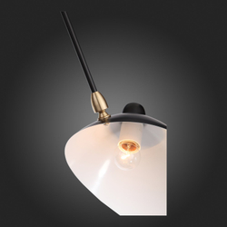 Люстра потолочная ST Luce Spruzzo SL305.402.06