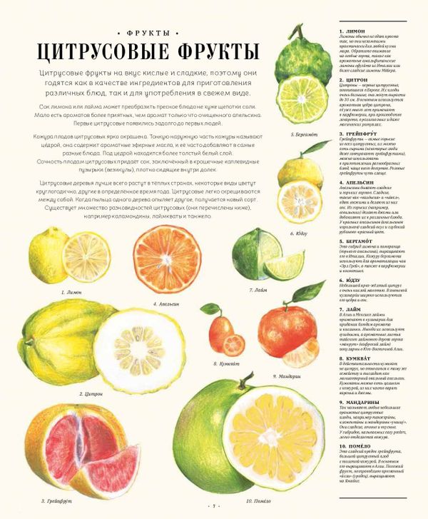 Такая красивая еда