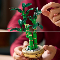 LEGO Icons/ Dracaena sandera/ 10344