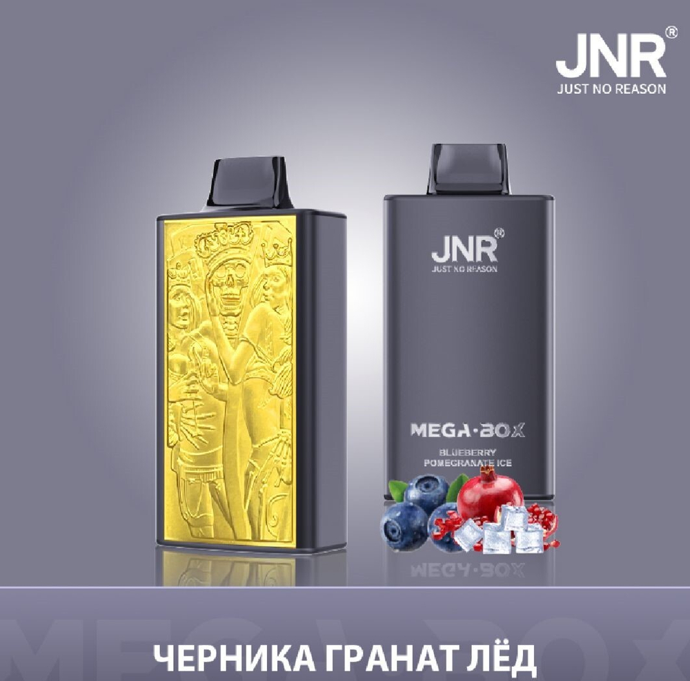 JNR Mega box Черника-гранат-лёд 30000 затяжек 20мг (2%)