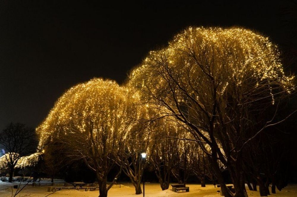 уличная гирлянда для деревьев "Занавес"