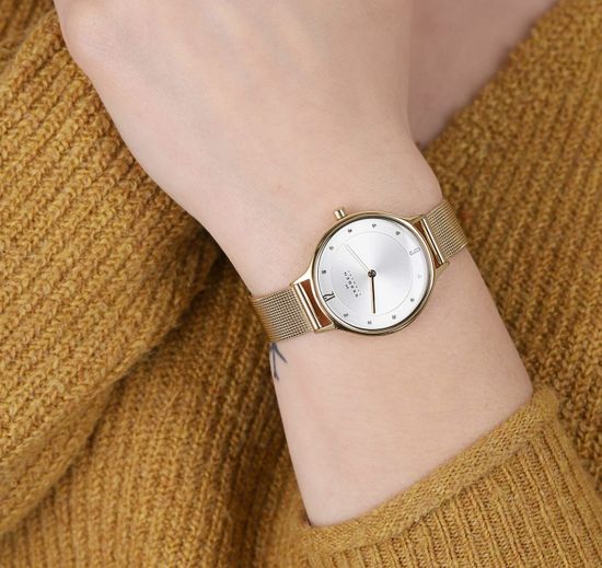 Наручные часы Skagen SKW2150