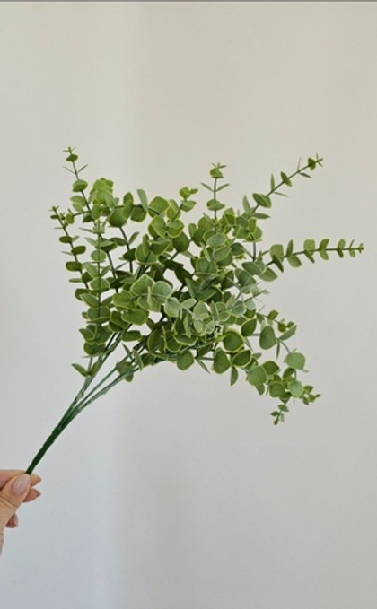 Эвкалипт матовый припыленный / Арт 5059