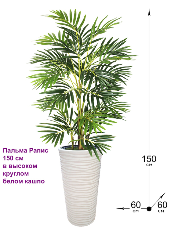 Искусственная Пальма Рапис 150 см в высоком круглом белом кашпо