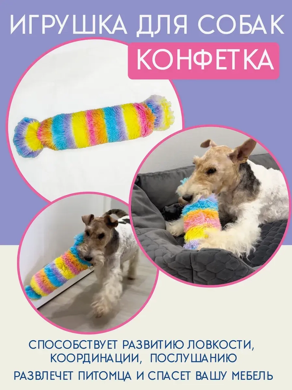 Игрушка для собак с пластиковой бутылкой