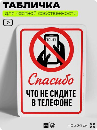 Табличка для частной территории "Спасибо, что не сидите в телефоне", на дом, для участка, организаций и частных территорий, предупреждающая, 40х30 см, Silver Plane x Айдентика Технолоджи