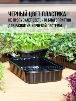 Лотки для выращивания микрозелени пластиковые 500 МЛ, 30 ШТ