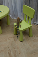 Кварц-винил SPC Steinholz Herringbone 4,5 мм Танне 1.14688 м2