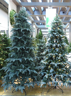 Ель Triumph Tree Нормандия Утонченная заснеженная Голландия вид