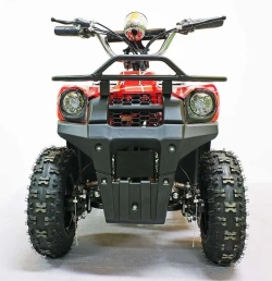 Электроквадроцикл Green Camel Гоби K40 (36V 800W R6 Цепь) быстросъем