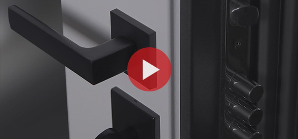 Стальная дверь "Ferrum" с зеркалом (адаптивная замковая часть)