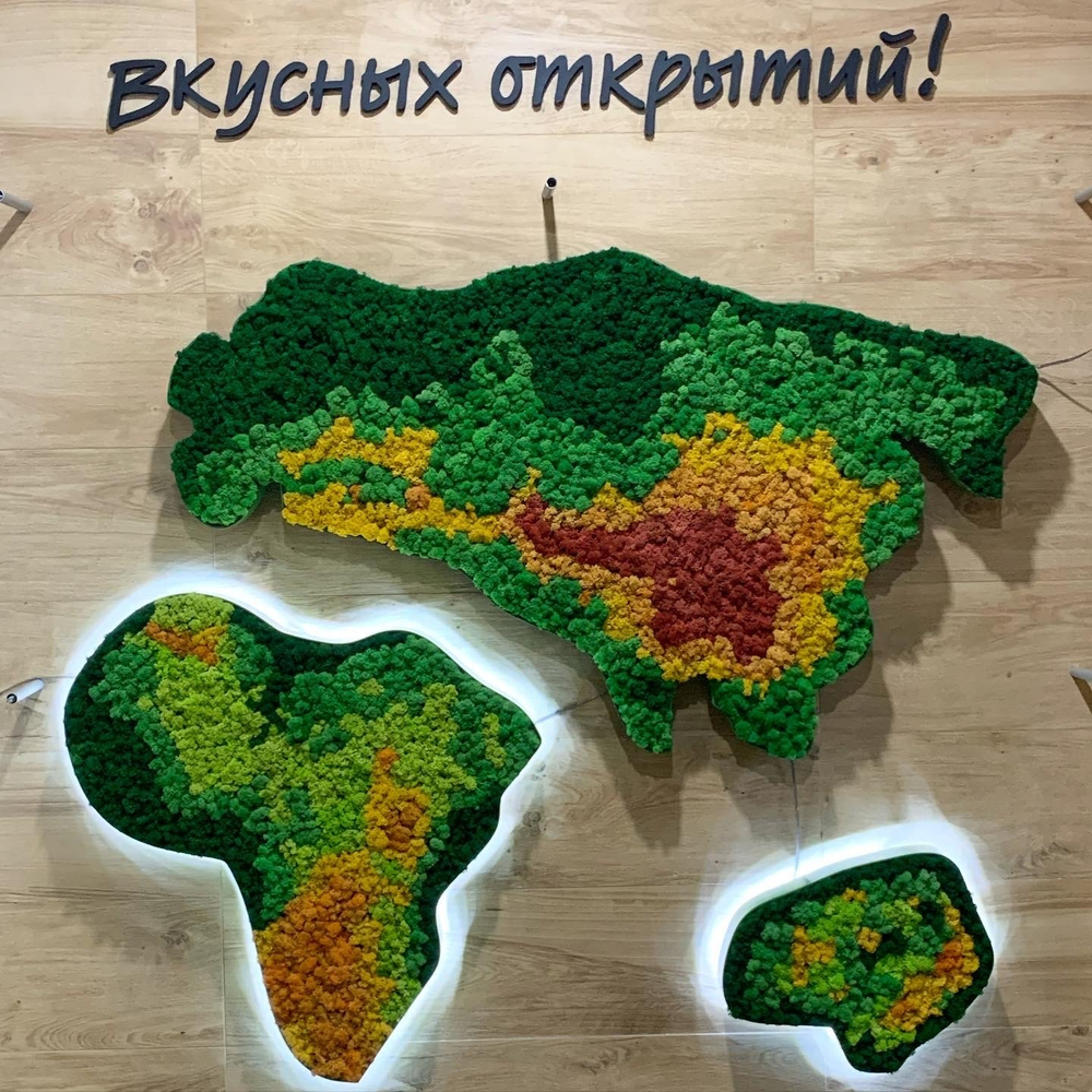Карта мира из стабилизированного мха ягеля для супермаркета "Табрис"  г.Краснодар