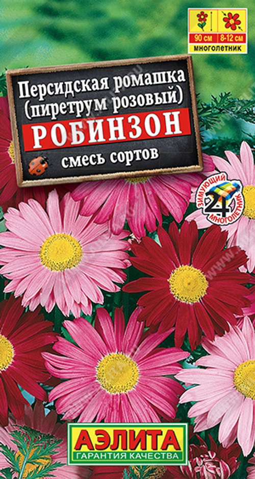 Пиретрум розовый Робинзон смесь сортов