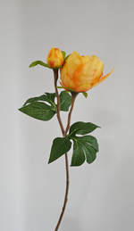 Бутон пиона / Арт 2462