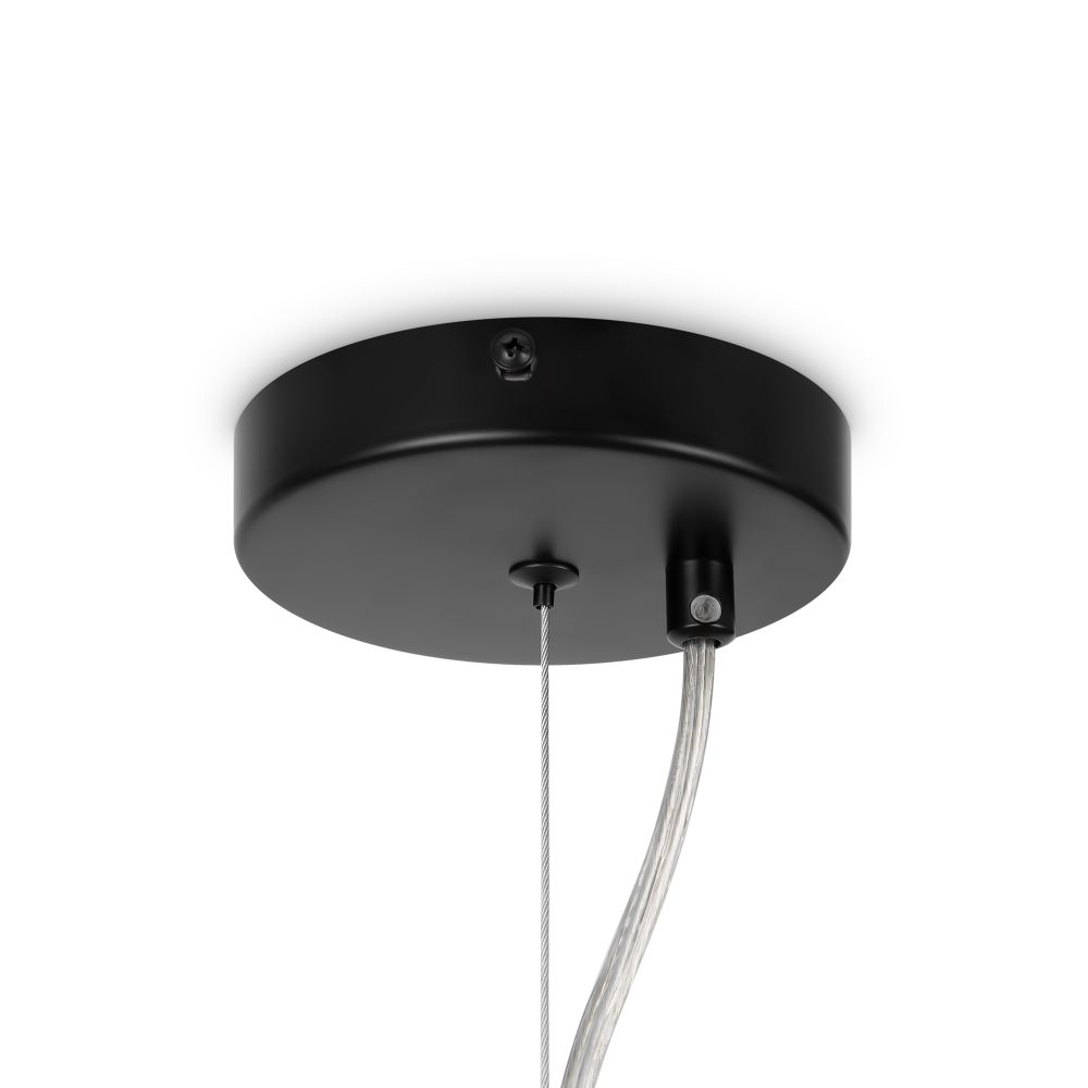 Люстра подвесная Maytoni Dallas MOD545PL-24B