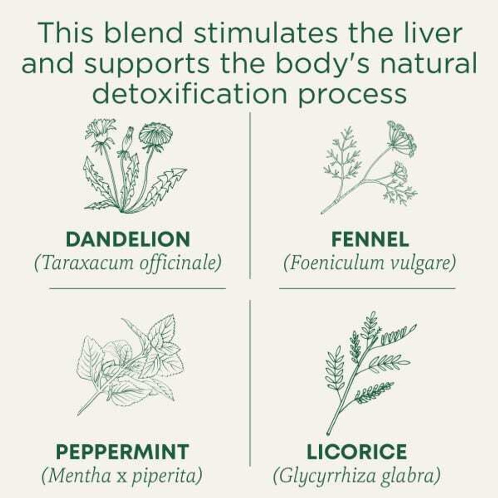 Traditional Medicinals, Organic EveryDay Detox, одуванчик, без кофеина, 16 чайных пакетиков в упаковке, 24 г (0,85 унции)