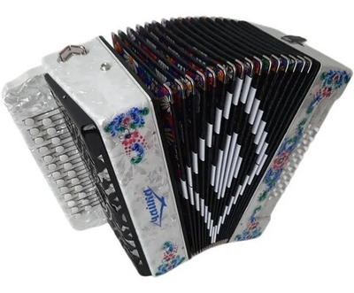 ГАРМОНЬ "ЧАЙКА-204" (S6ХYL), ГОЛОСОВЫЕ ПЛАНКИ HARMONIKAS (ЧЕХИЯ), ЦВЕТ БЕЛЫЙ