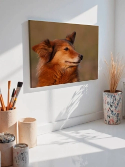 Картина на стену 40 X 50 Собака