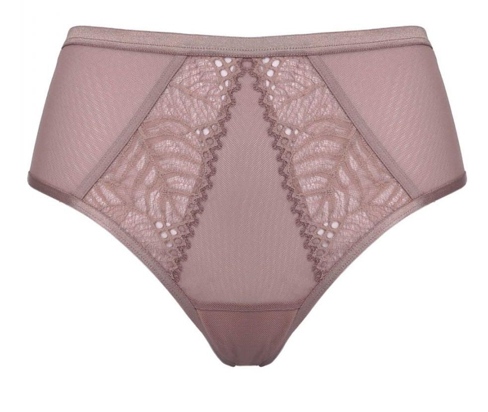 Трусики-слипы Denver из эластичного кружевного полотна и сетки (Размер: 40) (Цвет: кофейный)