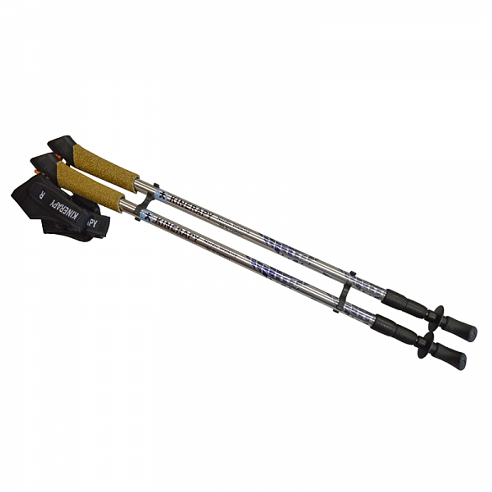Палки для скандинавской ходьбы KINERAPY CARBON RW905