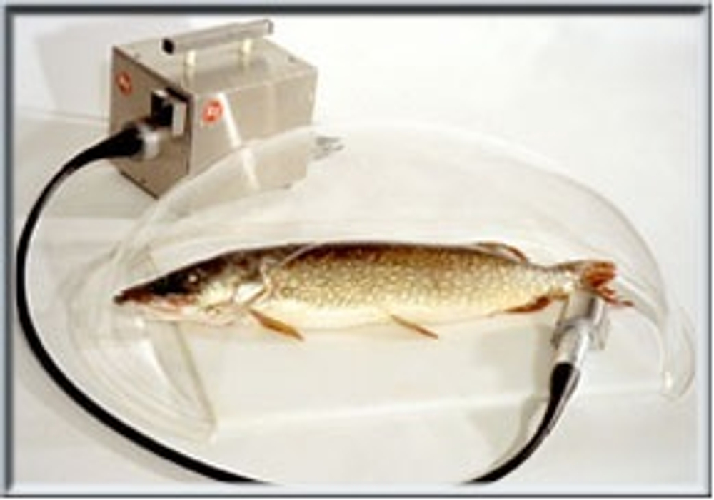 Колпак Д/Рыбочистки Kt-S