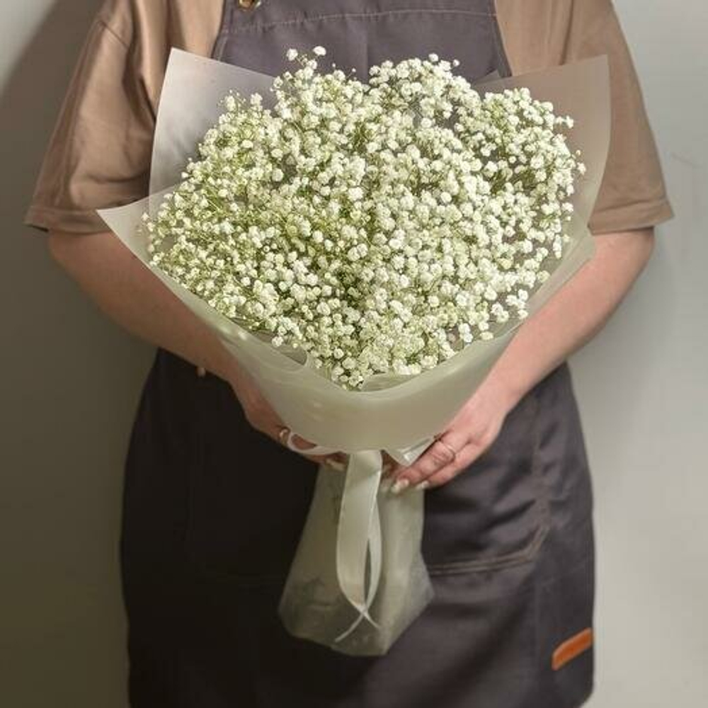 Букет из живых цветов белая гипсофила 5 шт, 50 см, в пленке, без зелени