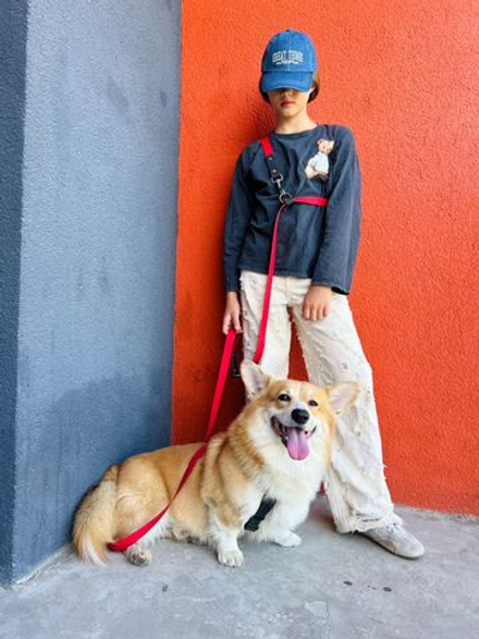 Шлейка для собак, Биотан, 25 мм , L размер ,средние и крупные породы, красный и черный