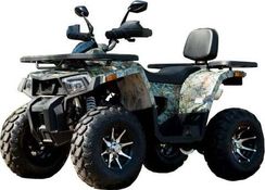 Квадроцикл YAMAHA Shark 300cc