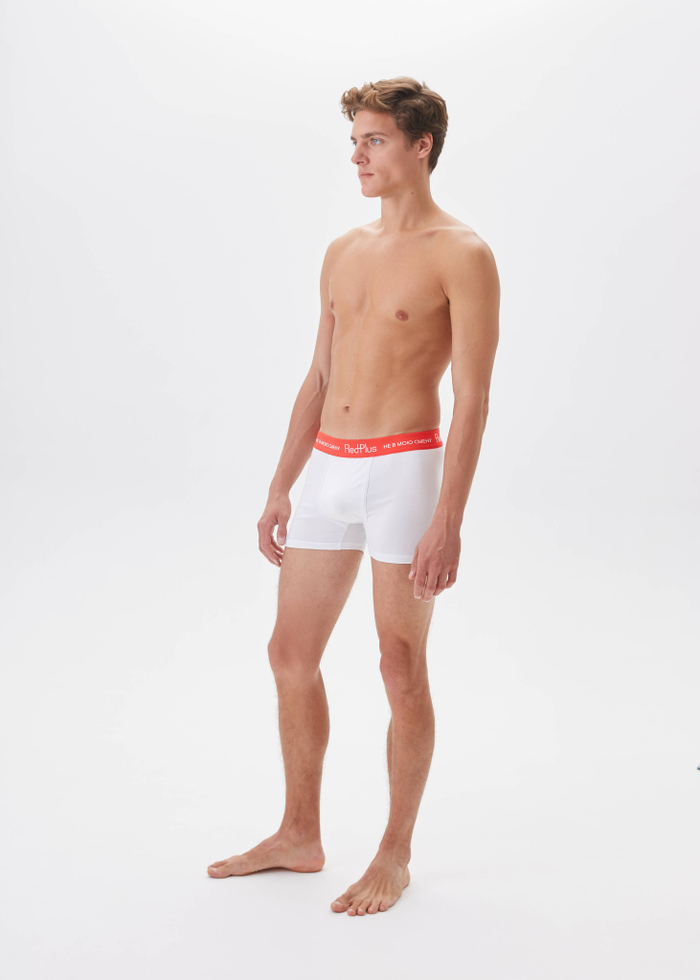 Трусы мужские (2 штуки)