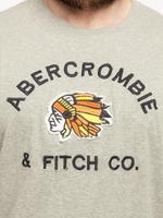 Футболка Abercrombie & Fitch ABF23