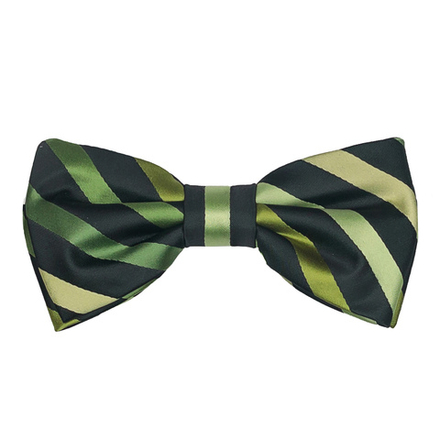 Бабочка P.LIZETTI