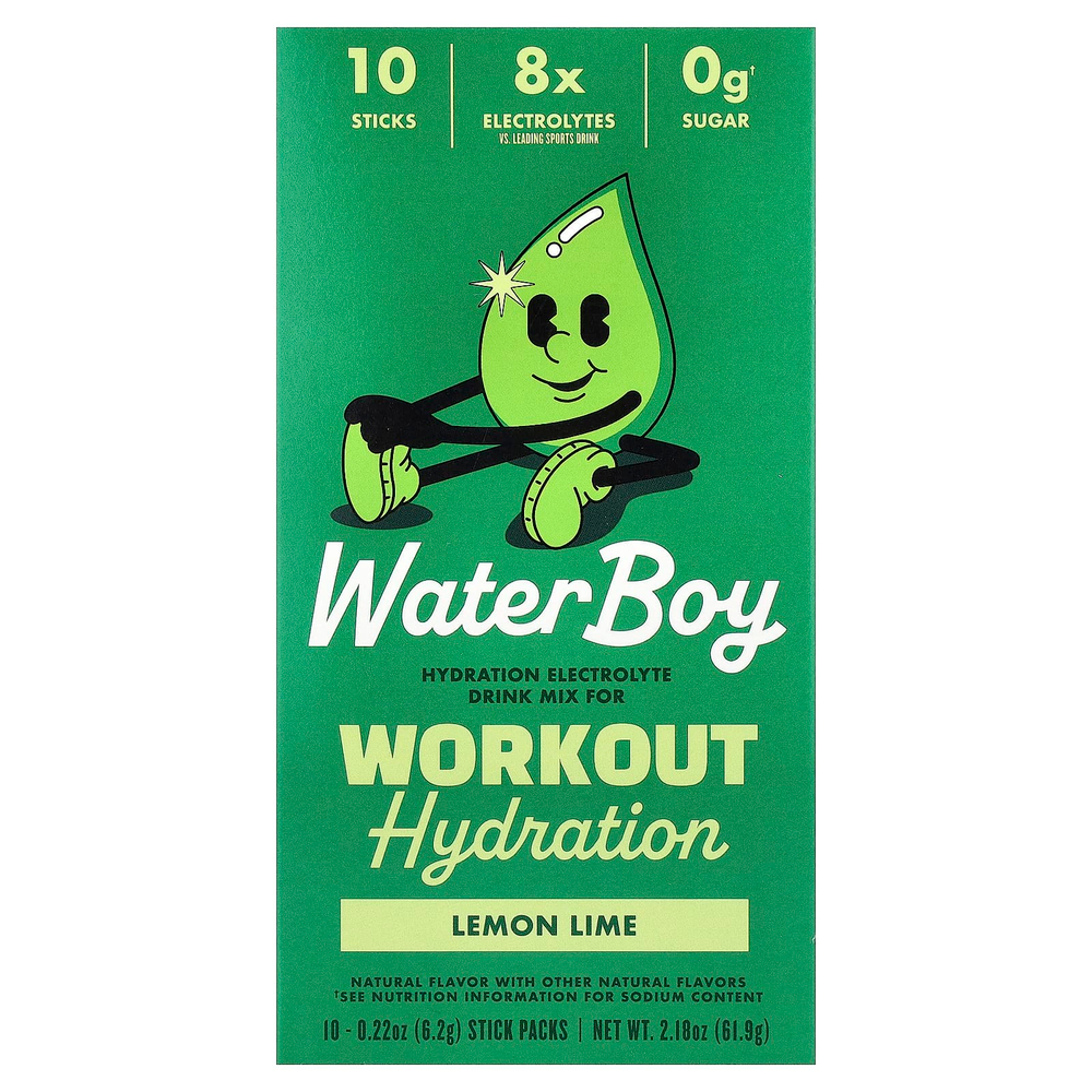Waterboy, Workout Hydration, смесь для приготовления электролитического напитка, лимон и лайм, 10 пакетиков-стиков по 6,2 г (0,22 унции)