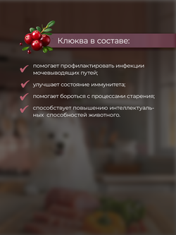 НАБОР Консервы DELISH Super Premium для собак с индейкой, овощами и клюквой (паштет) - 10 шт х 80 гр