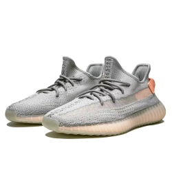 Adidas Yeezy Boost 350 V2 True Form