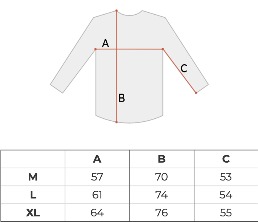 Толстовка мужская Carhartt WIP Script Embroidery Sweatshirt