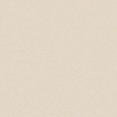 Обои винил на флизелине Белвинил Континенты фон 0429-61 1.06*10м