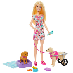 Barbie - Кукла Барби и собака в коляске + 10 аксессуаров HTK37 / артикул   HTK37  / GTIN 194735192243