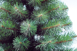 Ель искусственная Царь елка Маг  45 см МАГ-45