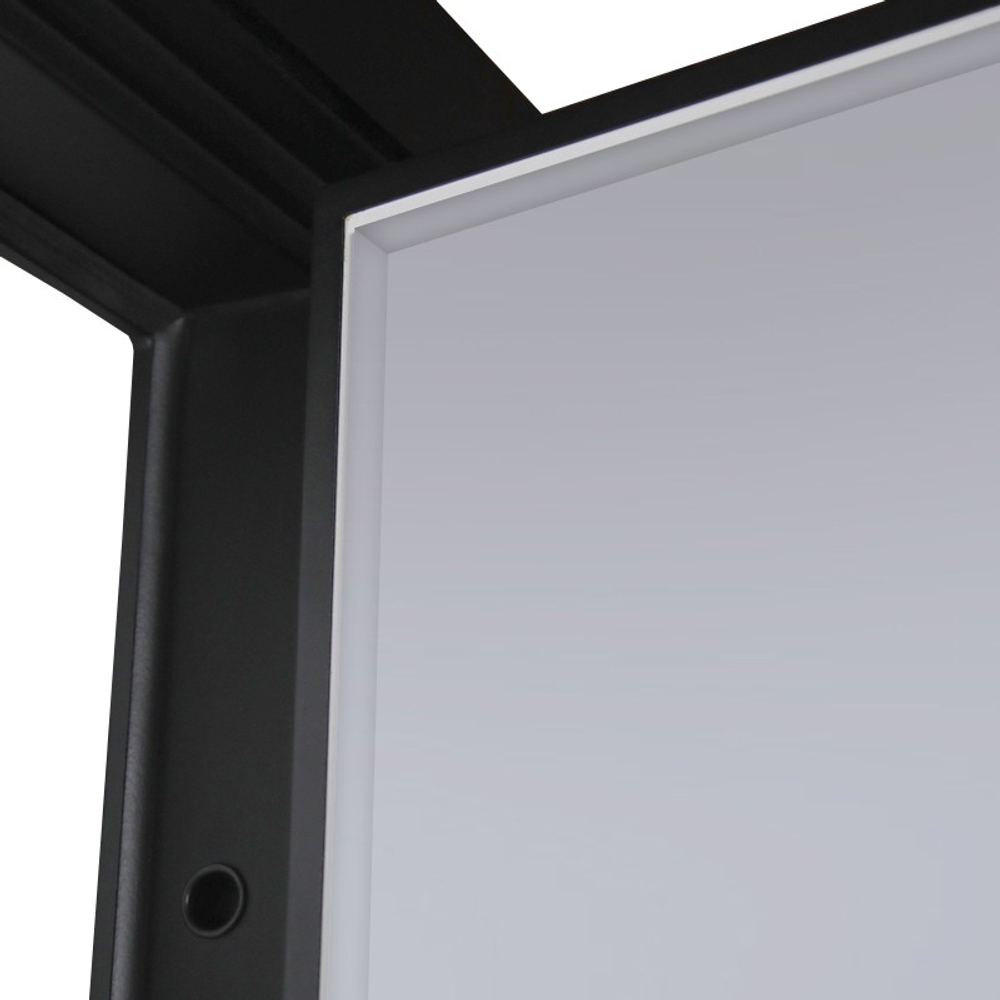 Стальная дверь "Freedom" с зеркалом. Заказная модель.