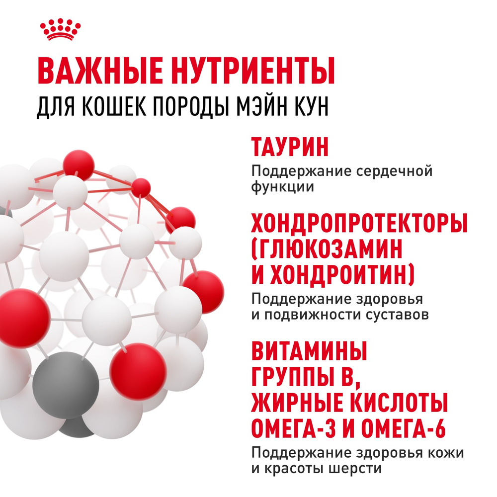 Royal Canin Maine Coon Adult Мейн Кун Эдалт Корм влажный для взрослых кошек породы Мэйн Кун соус 85г