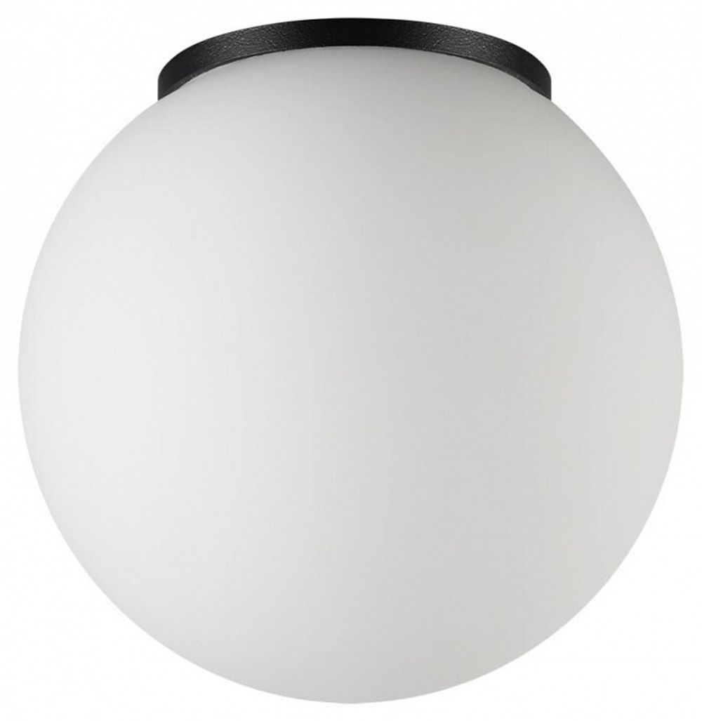 Накладной светильник Odeon Light NATURE 7124/1C