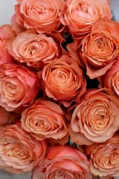 Букет из пионовидных персиковых роз "Кахала"