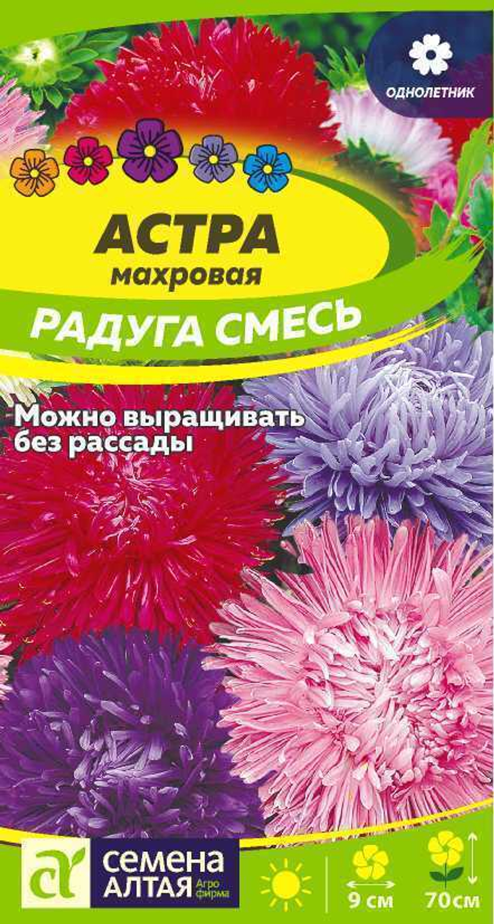 Астра Радуга см