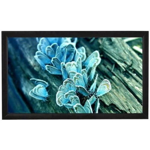 Экран для проектора Viewscreen Omega OMG-16902