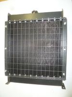 Радиатор охлаждения Quanchai QC490D; TDQ 20,25 4L/Radiator