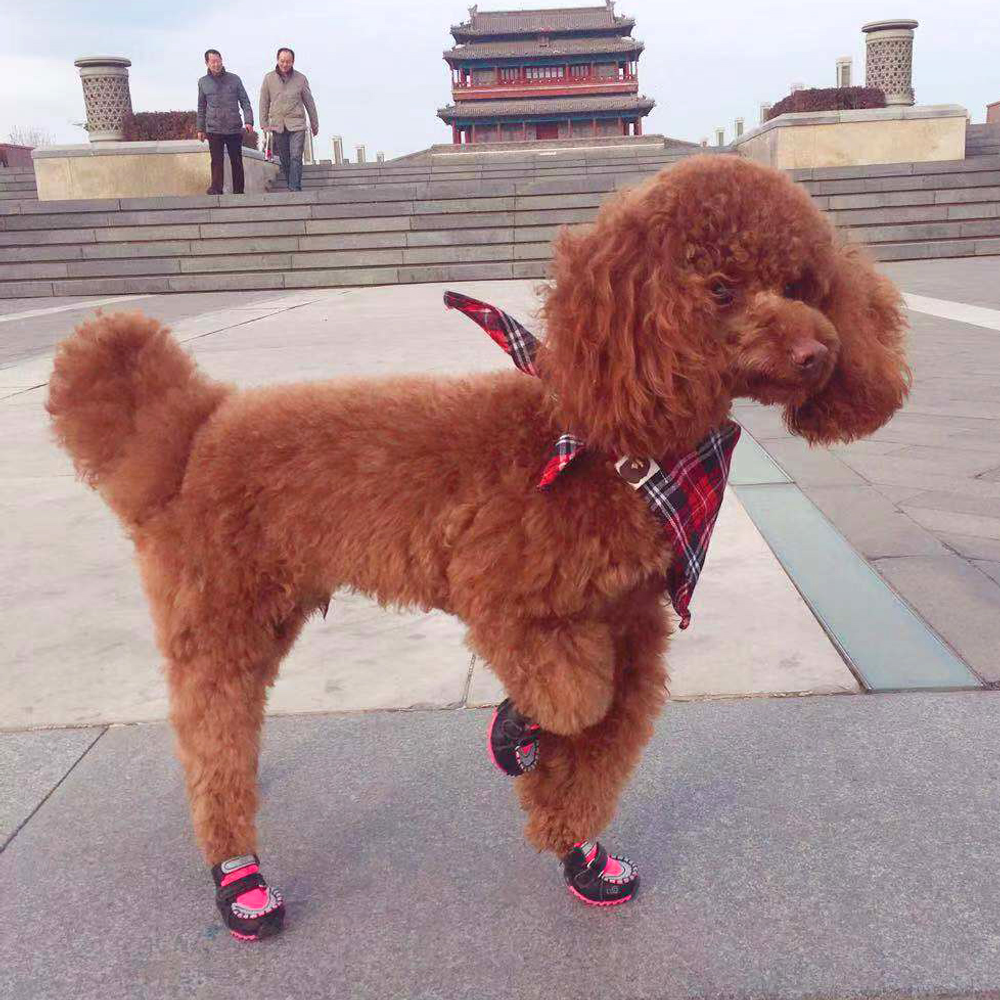 302 SA Ботинки "Эко кожа" осень