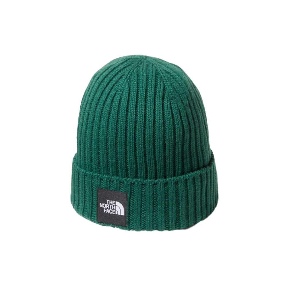 Шапки THE NORTH FACE Logo, NN42035